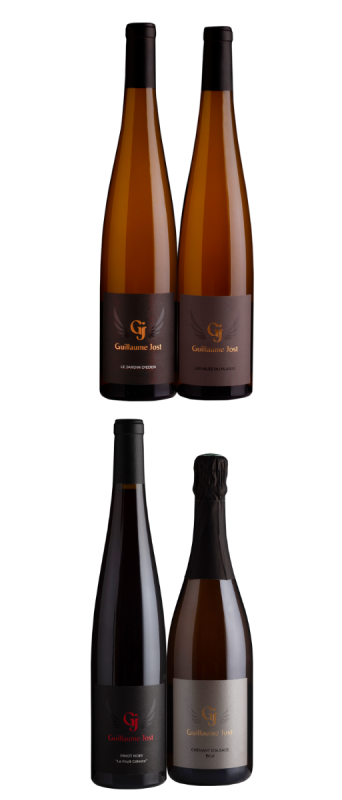 vins guillaume Jost